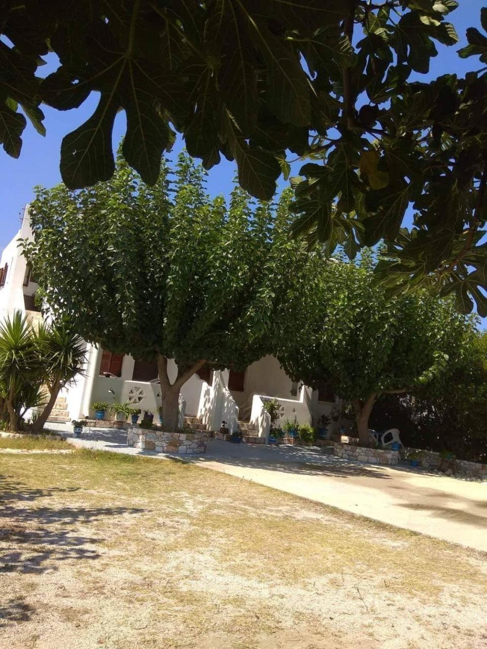 Athena'S Houses สกีรอส ภายนอก รูปภาพ